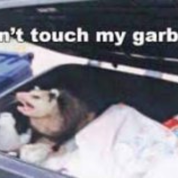 Meet your Posher, Connor - Picture 1 of 1